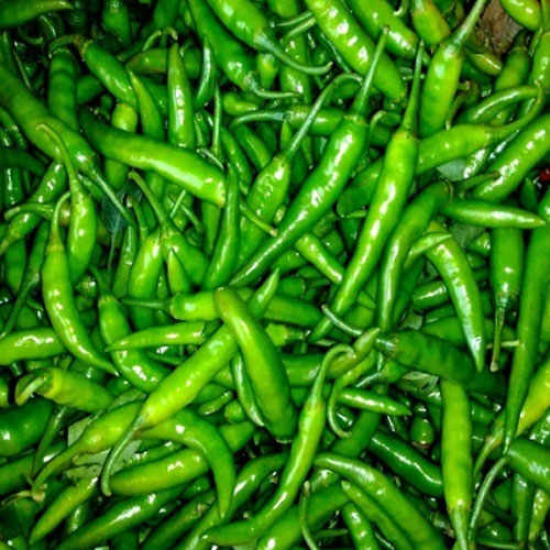 Fresh Green Chilli